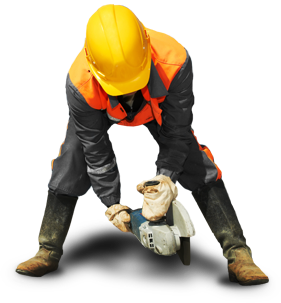 servicios